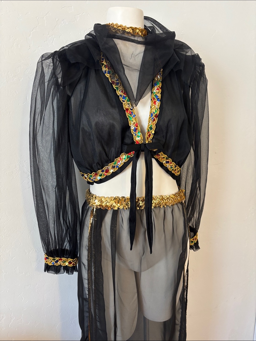 FINAL! 3 Pc Harem Girl Sheer Black and Gold Skirt Set